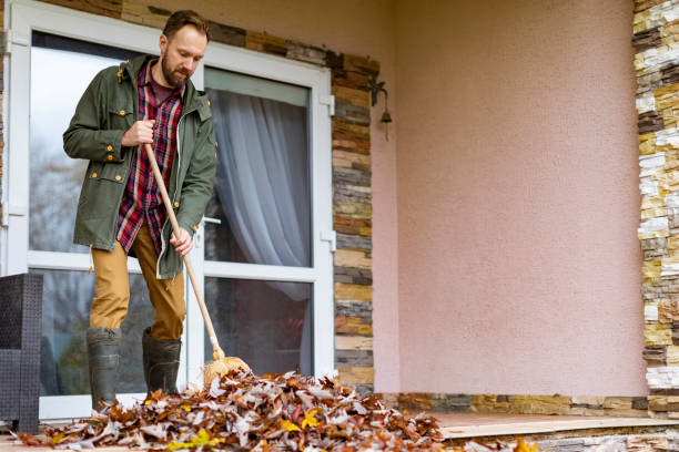 Best Furniture Removal Near Me  in Belmont, WI